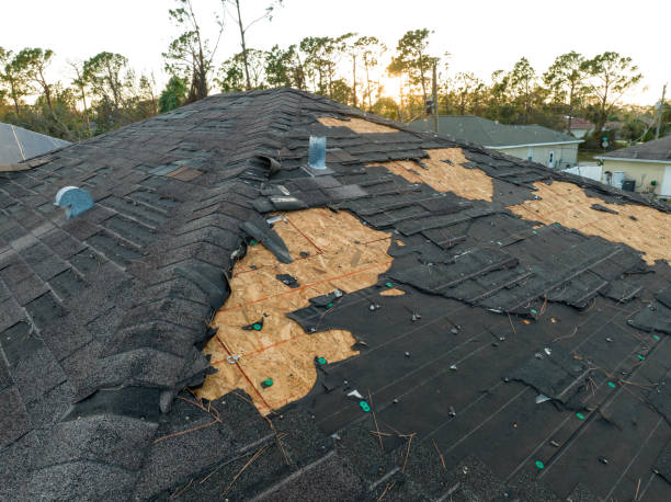 Best Tile Roofing Installation  in Marion, AL